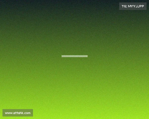 网球赛场背后的不为人知的故事与幕后英雄揭秘