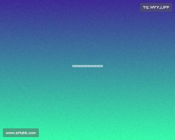 网球赛场背后的不为人知的故事与幕后英雄揭秘