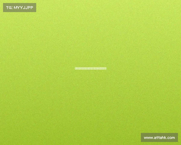 网球赛场背后的不为人知的故事与幕后英雄揭秘