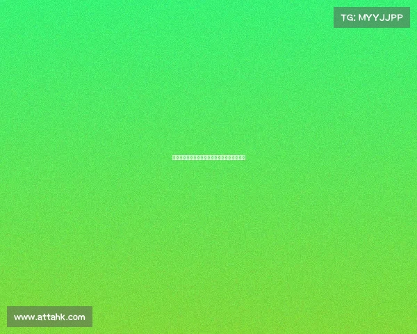 欧冠球迷文化的独特魅力与全球化发展趋势分析