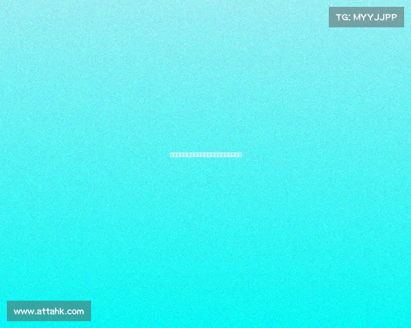 网球赛场背后的不为人知的故事与幕后英雄揭秘