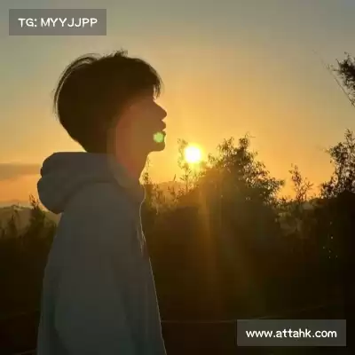 杨蕾凤